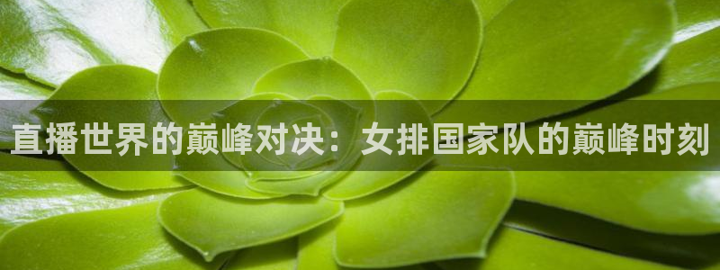 火凤直播体育官网：直播世界的巅峰对决：女排国家队的巅峰时刻
