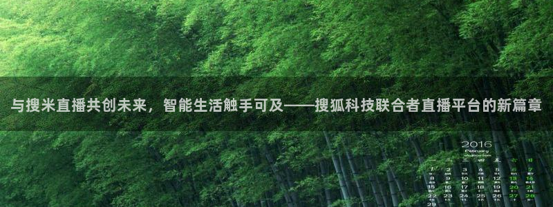 火凤足球直播免费观看全部：与搜米直播共创未来，智能生活触手可及——搜狐科技联合者直播平台的新篇章