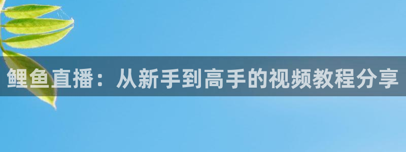 火凤直播篮球免费观看：鲤鱼直播：从新手到高手的视频教程分享