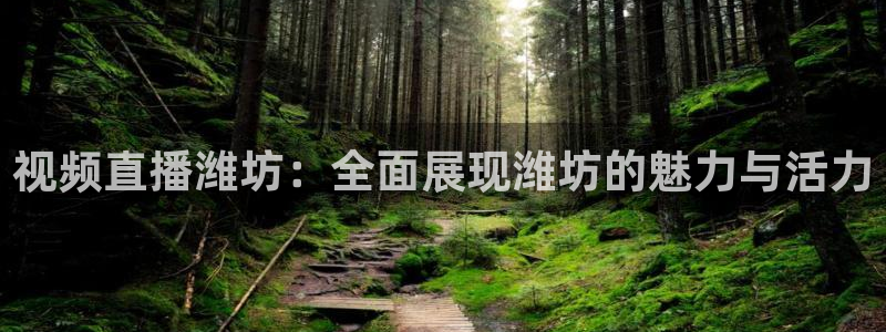 火凤直播：视频直播潍坊：全面展现潍坊的魅力与活力