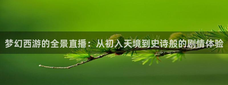 火凤直播足球免费观看：梦幻西游的全景直播：从初入天境到史诗般的剧情体验