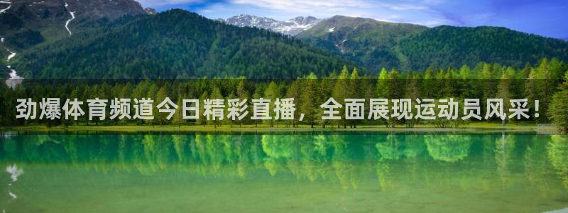 火凤直播体育：劲爆体育频道今日精彩直播，全面展现运动员风采！