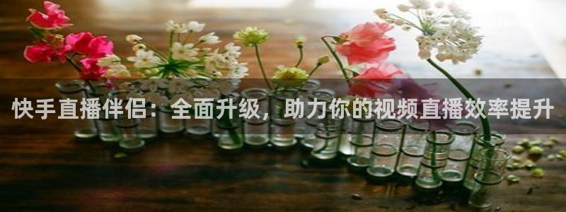 火凤足球直播免费观看全部：快手直播伴侣：全面升级，助力你的视频直播效率提升