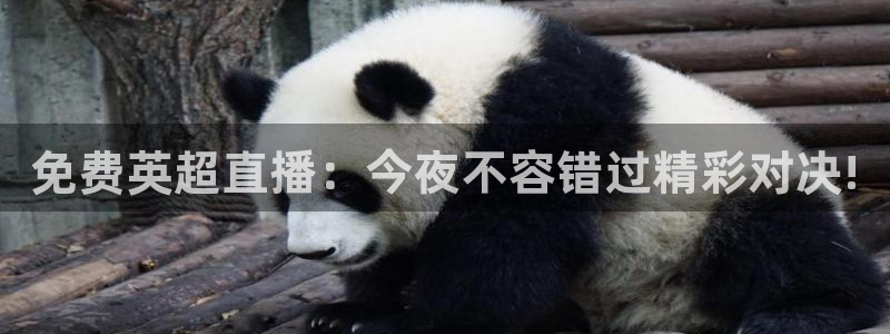 火凤体育免费直播入口：免费英超直播：今夜不容错过精彩对决!